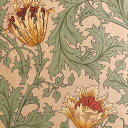 moda fabrics(モダ ファブリックス)William Morris ウィリアムモリス シーチングラミネート生地＜Anemone＞(アネモネ)＜SAGE(セージ)＞LAMI-8217-31