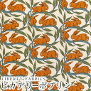 【エントリーでP10倍】LIBERTYリバティプリント 国産ピカデリーポプリン生地(エターナル)<Cotton Tail>(コットンテイル)【オレンジ】3332262DP(3)