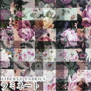LIBERTY FABRICS リバティプリント 国産つや消しラミネート(ビニールコーティング生地)<Archive Gingham>(アーカイブ・ギンガム)【パープル】MATLAMI363J6819BE