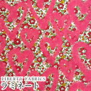 LIBERTY FABRICS リバティプリント 国産つや消しラミネート(ビニールコーティング生地)<Betsy Ann Graffiti>(ベッツィ・アン・グラフィティ)【ピンクハート】MATLAMI363J6832YE(3)