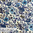 LIBERTYリバティプリント 国産タナローン生地(エターナル)<Rachel>(レイチェル)3636003CE その1