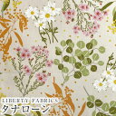 LIBERTYリバティプリント イタリア製タナローン生地<Dotty Mimos>(ドッティ・ミモス)【グレージュ地】363J4225-24AU《2024AW Native Flowers》(3)