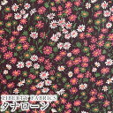 【エントリーでP10倍】LIBERTYリバティプリント イタリア製タナローン生地<Marguerite>(マーゲリート)【ピンクパープル】3634222-24BU《2024AW The Curated Floral》(3)