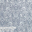 LIBERTYoeBvg Y^i[nFloral Lace(t[E[X)ylCr[z1224123-J24B