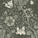 moda fabrics(_Et@ubNX)William Morris EBAX V[`OnComptoniRvgjCHARCOAL `R[ 8383-14