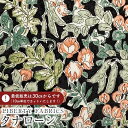 LIBERTY FABRICS リバティプリント 国産タナローン生地<Sweet Pea Leaf>(スイートピー・リーフ)【ブラック地】DC34898-J25D