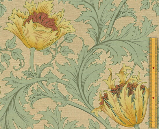 moda fabrics(モダ・ファブリックス)William Morris ウィリアムモリス シーチング生地＜Anemone＞(アネモネ)＜SAGE(セージ)＞8217-31