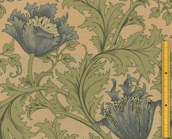 moda fabrics(モダ・ファブリックス)William Morris ウィリアムモリス シーチング生地＜Anemone＞(アネモネ)＜TURTLE DOVE(タートルダブ)＞8217-22