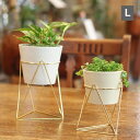 ラインポットスタンド Lサイズ インブルーム in bloom クレエ Creer 92550017 【植木鉢 おしゃれ 鉢カバー ガーデン雑貨 かわいい イン...