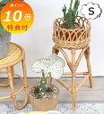 【特典付き】 フラワースタンド Sサイズ ユグラ 丸形 クレエ JUGLAS 92010001 アンティーク風 Creer フラワー台 プランター プランター ...