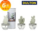【特典付き】 フレグランス ディフューザー カクタス サボテン さぼてん ダルトン DULTON G675-824 使い終わった後は置き物としても使えます。 香りを届ける癒し アロマ 癒し 匂い 香水 芳香剤 ボトル 花瓶