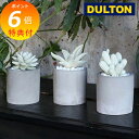 【特典付き】 フレグランス ディフューザー カクタス サボテン さぼてん ダルトン DULTON 使い終わった後は置き物としても使えます。 香りを届ける癒し アロマ 癒し 匂い 香水 芳香剤 ボトル 花瓶