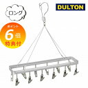 【特典付き】 ランドリーハンガー ピンチ12個 ロング ダルトン DULTON RN-0429LG-12 洗濯ハンガー ピンチハンガー 物干しハンガー ピンチ ...