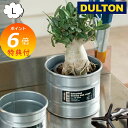 【特典付き】 ガルバナイズド デスクトップ タンク ラウンド M ダルトン DULTON NB-0672M インテリアやガーデンニング用に 鉢カバー植木鉢 ポッ...