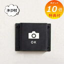 【特典付き】 アイアンサイン カメラOK ネジ付き サインプレート ホームステッド Homestead HS2961 カメラ 写真 スマホ OK ブラック アンティーク調 アイアン ドアプレート 壁飾り 壁掛け ウエルカムボード ウォールデコ インテリア小物 置物 ドアプレート
