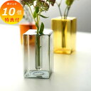 【特典付き】 ガラスベース スクエア イエロー グレー ホームステッド アクシス ホームステッド Homestead ガラス 水耕栽培 水栽培 フラワーポット 花瓶 フラワーベース 球根/水栽培/花瓶 ガーデニング おしゃれ かわいい レトロ 球根 多肉植物