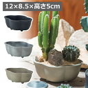 ブルータポット 植木鉢 鉢 12×8.5×高さ5cm プランター フラワーポット ガーデニング 無骨 インダストリアル ガーデニング 園芸 おしゃれ ブラック シルバー ゴールド