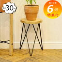 【特典付き】 フラワースタンド サークルスタンド 高さ30cm 41300 プランターボックス プランター プランタースタンド/フラワースタンド アイアン製 デ...