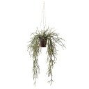 リプサリス 80957 イミテーション インテリアグリーン 人工観葉植物 フェイクグリーン 造花