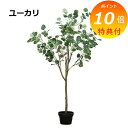 【特典付】 ユーカリ 造花 イミテーション 81022 フェイクグリーン 観葉植物 造花 人工観葉植物 フェイクグリーン インテリアグリーン 【送料無料】