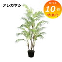 【特典付】 アレカヤシ 造花 イミテーション 81023 フェイクグリーン 観葉植物 造花 人工観葉植物 フェイクグリーン インテリアグリーン 【送料無料】