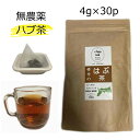 ハブ茶 はぶ茶 国産 30P 無農薬 ハブ茶 決明子 決明子茶 決明茶 ケツメイシ 鳥取県産 はぶ草茶 エビスグサ ノンカフェイン 送料無料 マイボトル ティーバッグ ティーパック ソイロン 国産 4g×30包 健康茶 国産の健康茶