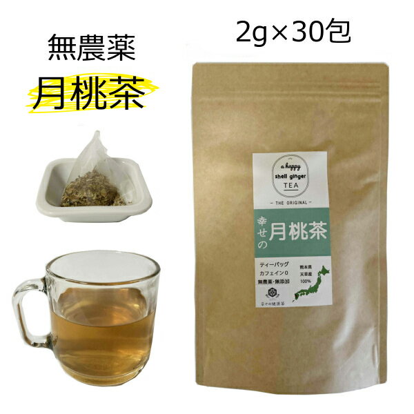 月桃茶 熊本県 天草産 無農薬 月桃葉 100％ 30包入×1袋 ノンカフェイン ポリフェノール げっとう 月桃 ゲットウ お茶 茶葉 ポリフェノール ハーブティー サンニン茶 国産 九州産 30P 無農薬 送料無料 ティーバッグ ティーパック ソイロン 国産 2×30包 健康茶 国産の健康茶