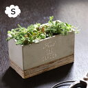 セメントプランター レクト S 2号×2鉢目安 FEEL THE GARDEN CBGZ2041 スパイス 植木鉢 プランターカバー フラワーポット 花 鉢 観...