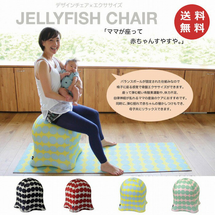 ꡼եå DVDդ ѥ ꡼եå  (δ ȥ졼˥ Х󥹥ܡ   եåȥͥ å 襬 JELLYFISH CHAIR STANDARD) (̵)ڥݥ10ܡ