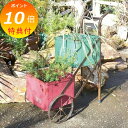 【特典付】 リサイクルイットカンカート AZ-4033 ヴィンテージ風 アンティーク風 ブラウン aziazi アジアジ プランター 植木鉢 プランターカバーガ...