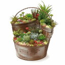 カスタムバケツプランター アンティーク風 ルーフワゴン azi-azi アジアジ フラワーポット 花 鉢 観葉植物 ガーデン雑貨 ナチュラルガーデン ガーデニング 鉢 プランター フラワー 多肉 寄せ植え AZ-5010 【送料無料 ポイント10倍】