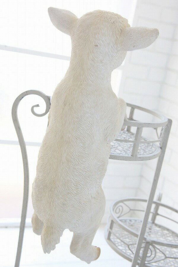 【特典付き】 クランバーシープ アンティーク調 羊 子羊 ひつじ 未 動物 コベントガーデン COVENT GARDEN TS-11 ガーデンマスコット ガーデニング 置き物 オブジェ オーナメント 動物 【送料無料 ポイント10倍】