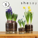 植木鉢 リューズガラス プレート付き フラワーポット ストレート Sサイズ 3号鉢 shesay 志成販売 372313 フラワーベース/木/花/フラワー/フラワーグラス/花瓶 ガラス/ガラスベース/シンプル/おしゃれ 置物/北欧/花器/インテリア雑貨
