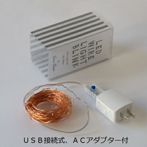 LED ワイヤーライト ブリンク 10m 107120 USB接続式　ACアダプター付 Horn Please 志成販売 アンティーク風 照明 ランプ LED マルチカラー イルミネーション おしゃれ クリスマス ツリー LED かわいい デコレーション オーナメント 飾りつけ 107120 3