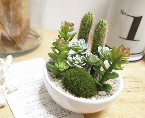 サキュレントリフレリウム 消臭アーティフィシャルグリーン イミテーション サキュレント フェイクグリーン 【ポイント10倍】