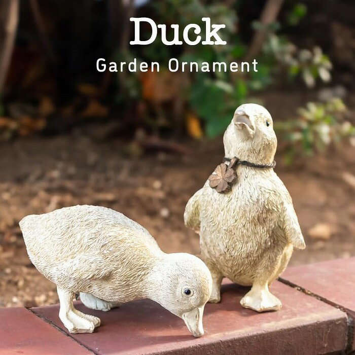アヒル ダック 2匹セット 子供 鳥 ガーデンオーナメント オブジェ 置物 インテリア かわいい ホワイト 子ども 2羽セット ガーデンマスコット ガーデニング...