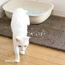 OPPO necoshibaオッポ ネコシバブラウン グリーン オレンジ猫