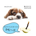 かむ〜ぶペット 食器 オモチャ ガム 小型犬 硬いおやつ 丸飲み防止 長持ち 早食い防止 ストレス解消 ストレス発散
