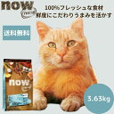 ナウフレッシュ フィッシュアダルトキャット3.63kgNOW FRESH 成猫 サーモン 正規品 キャットフード ペットフード ドライフード グレインフリー 穀物不使用 食いつく低アレルギー 魚 送料無料