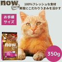 ナウフレッシュ アダルトキャット350gNOW FRESH 成猫 正規品 キャットフード ペットフード ドライフード グレインフリー 穀物不使用 食いつく