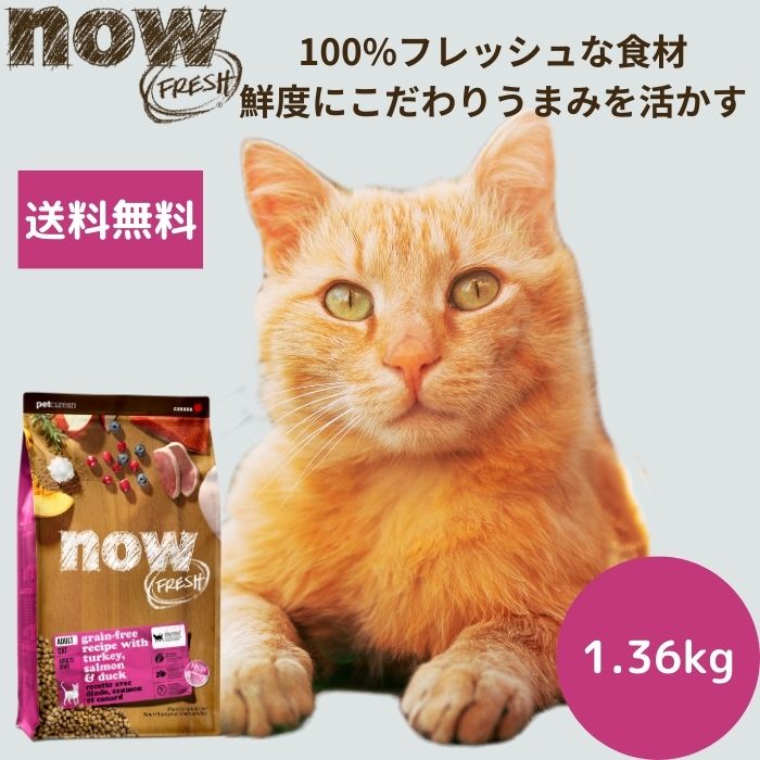 【選べるサンプル3個プレゼント付き】ナウフレッシュ アダルトキャット1.36kgNOW FRESH 成猫 正規品 キャットフード ペットフード ドライフード グレインフリー 穀物不使用 食いつく送料無料