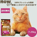 【選べるサンプル3個プレゼント付き】ナウフレッシュ アダルトキャット7.25kgNOW FRESH 成猫 正規品 キャットフード ペットフード ドライフード グ...
