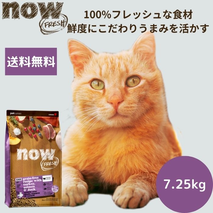 ナウフレッシュ シニアキャット&ウェイトマネジメント7.25kgNOW FRESH 高齢猫 体重管理 ダイエット 正規品 キャットフード ペットフード ドライフード グレインフリー 穀物不使用 食いつく低カロリー 送料無料 シニア