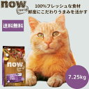 【選べるサンプル3個プレゼント付き】ナウフレッシュ シニアキャット&ウェイトマネジメント7.25kgNOW FRESH 高齢猫 体重管理 ダイエット 正規品 キ...