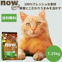 【選べるサンプル3個プレゼント付き】ナウフレッシュ キトン7.25kgNOW FRESH 子猫 正規品 キャットフード ペットフード ドライフード グレインフリ...