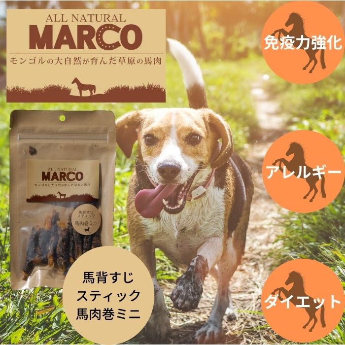 馬肉のおやつMARCO 馬背筋スティック馬肉巻 ミニ 40gマルコ 無添加 無着色 犬おやつ トリーツ ジャーキー FLF