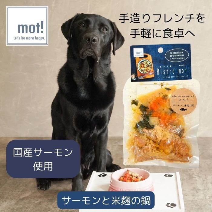 【公式】Bistro mot!サーモンと米麹の石狩なべ 60gドッグフード おやつ トッピング サーモン 犬用 猫用..
