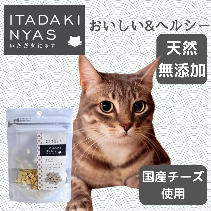 【公式】いただきにゃす　フリーズドライチーズ　15gキャットフード おやつ ジャーキー 無添加 低アレルギー ヘルシー 猫おやつ 猫用 FLF おいしい ごほうび トッピング 国産 食べる 愛猫用 無着色 サプリメント チーズ