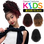 なんじゃもじゃウィッグ ドレッド エクステ ボリューム ヘアーエクステンション ウェーブヘア 女の子 子供 キッズ ガールズ ウイッグ カール レッド ブラック ゴールド 長さ18.5cm ロング 部分つけ毛 派手 メッシュ コスプレ ヒップホップ ダンス衣装 発表会 ダンスヘアー