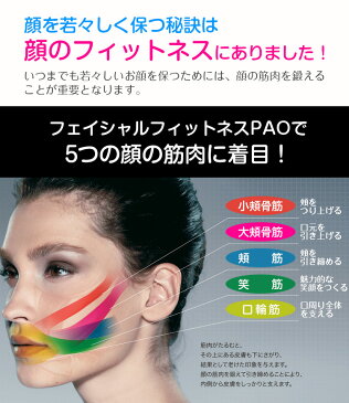 あす楽 ポイント10倍 〔送料無料〕 フェイシャル フィットネス パオ FACIAL FITNESS PAO 【MTG正規品】【正規販売店】ほうれい線 しわ ギフト 笑顔 小顔 グッズ ぱお フェイスライン ダイエット 器具 筋トレ エクササイズ プレゼント プレゼント ギフト 母の日